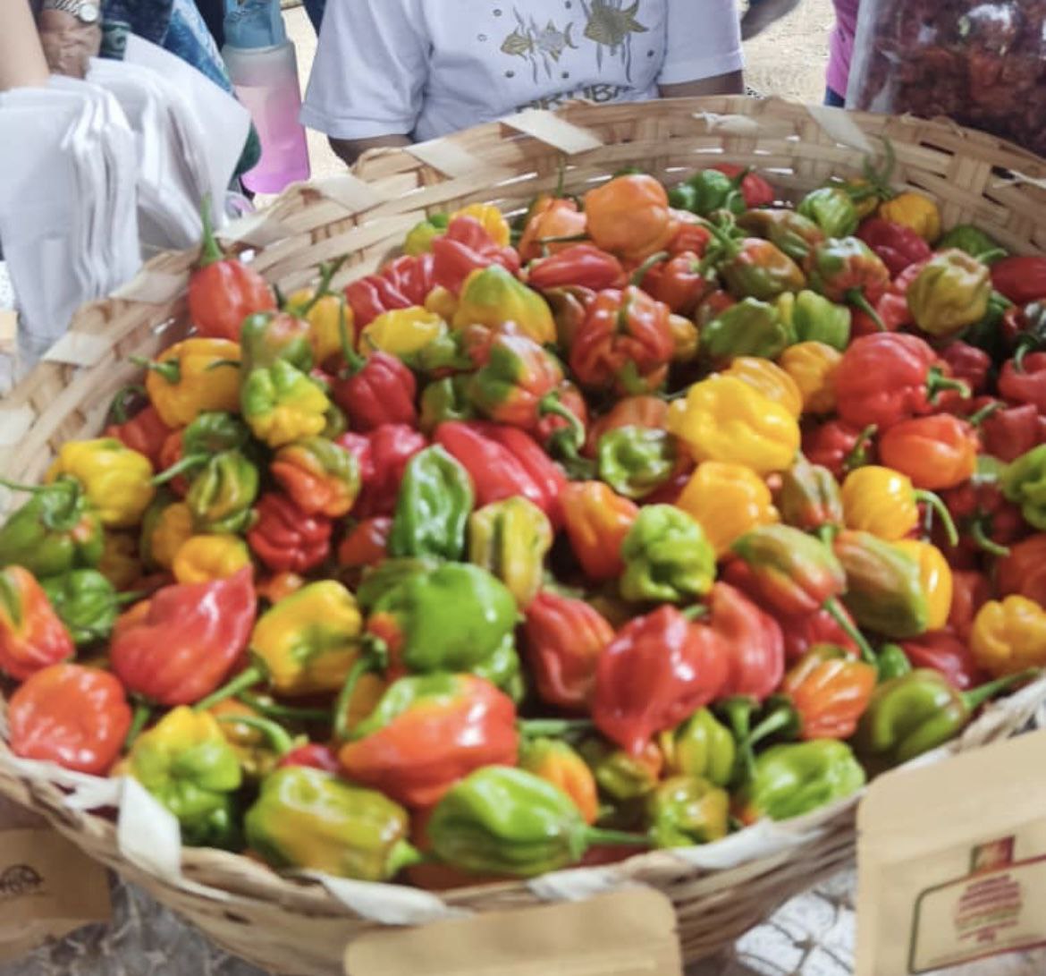 Deskubre el Campo y sus Tradiciones
